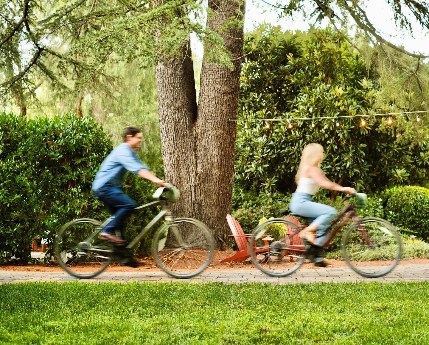Two people ride bicycles past a large tree in a lush green garden.