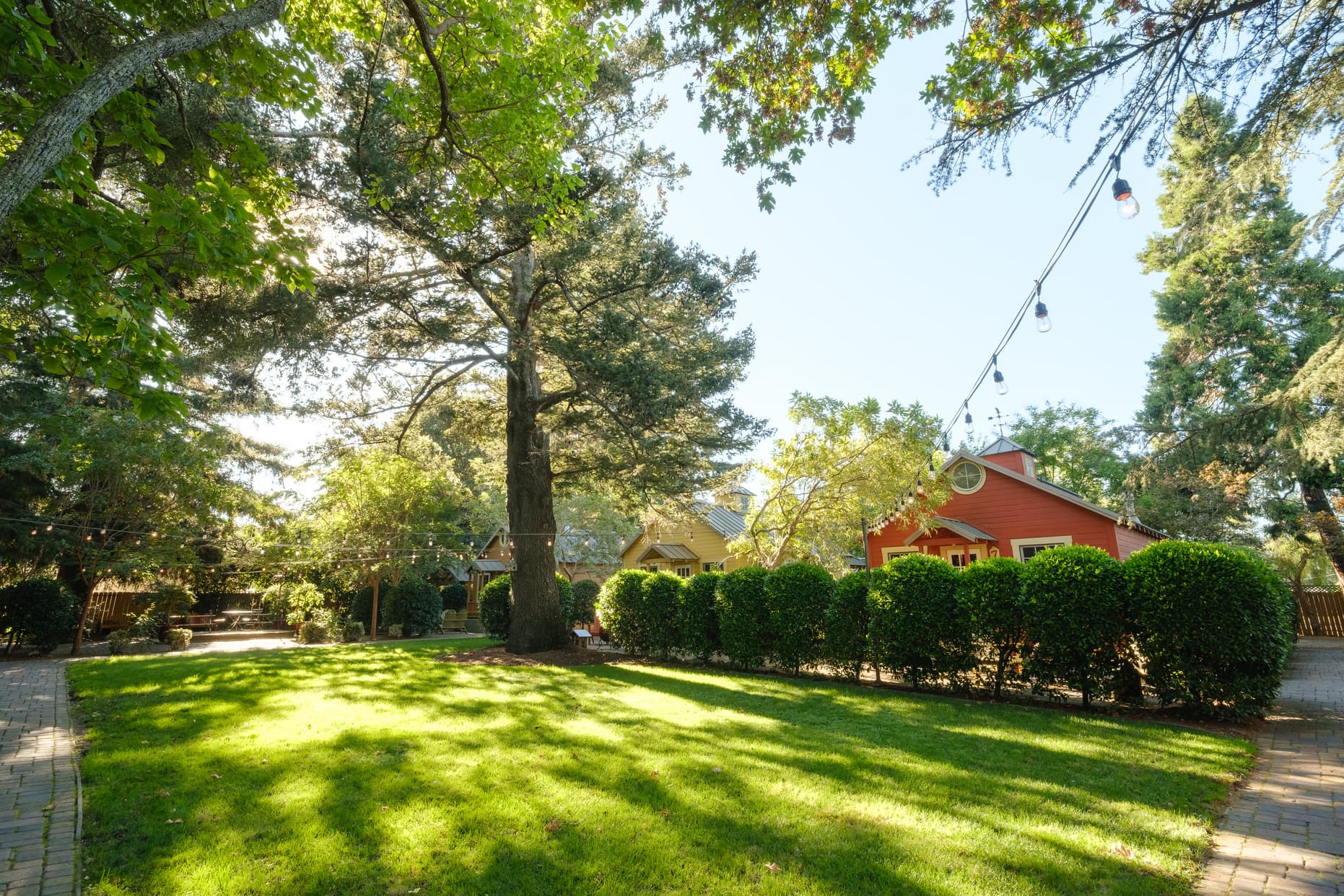 Lush green yard with trees and a red house in the background, under clear blue skies.
