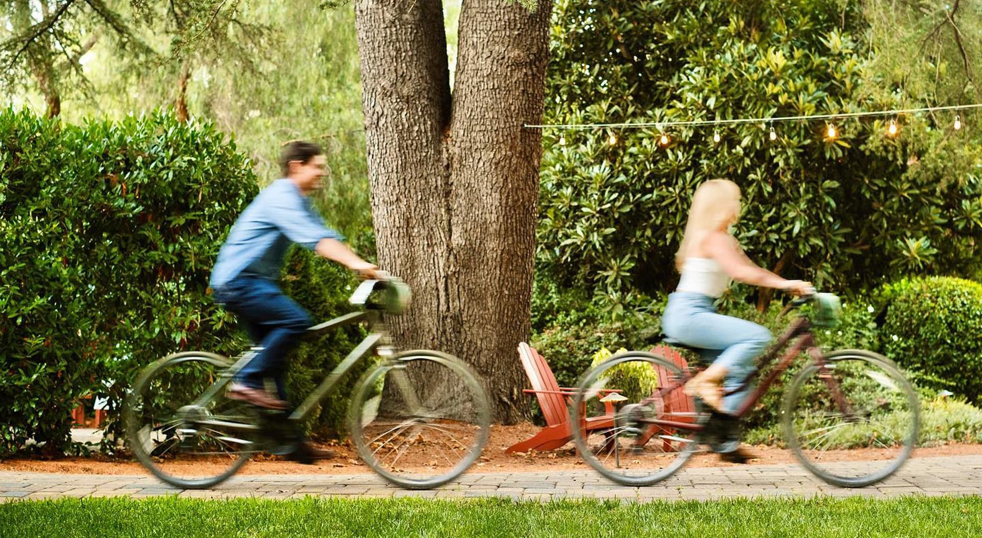 Two people riding bicycles side by side in a lush, green garden.