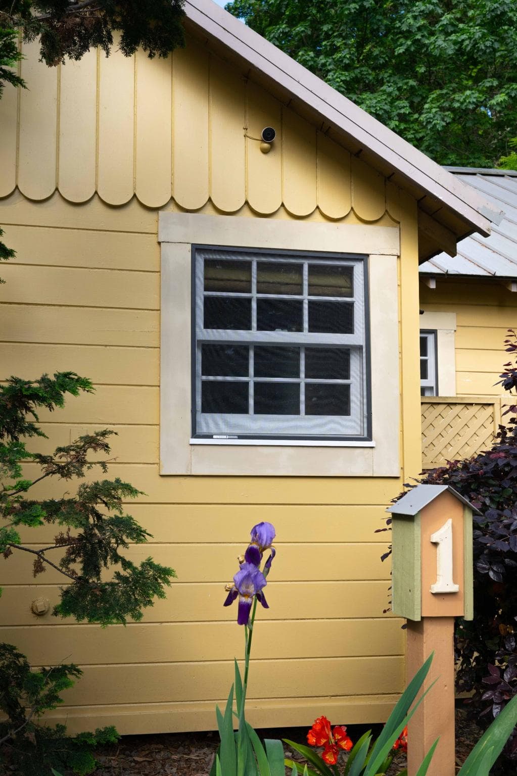 A yellow house featuring a window and a purple iris flower in the foreground.