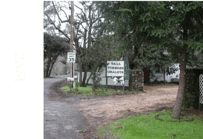 Sign for "Tall Timber Chalets" at a tree-lined road intersection with a speed limit sign.