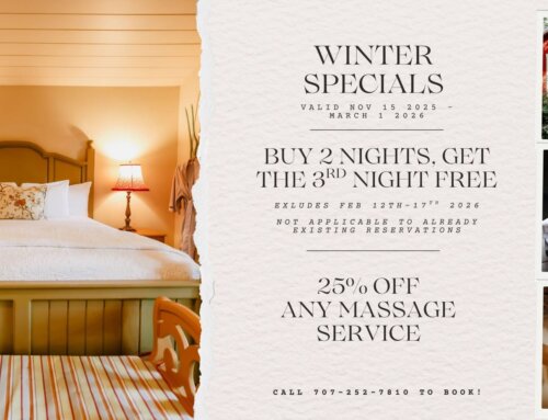 Winter Specials: Buy 2 Nights, Get The 3rd Night Free! ||  25% off massage services!